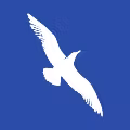 Cape Air logo