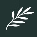 Cyprus Airways logo
