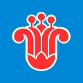 China Southern Airlines logo