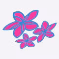 Air Rarotonga logo