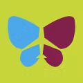 Sierra National Airlines logo