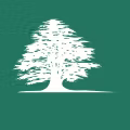 Middle East Airlines logo