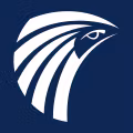 MS logo