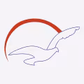 Patriot Airways logo