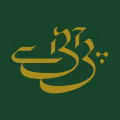 Pakistan International Airlines logo