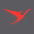Surinam Airways logo