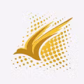 Aviaexpress logo