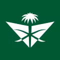 Saudi Arabian Airlines logo