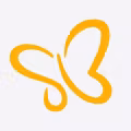 Sky Work Airlines logo
