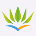 Air Caraïbes logo