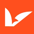 V0 logo