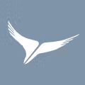 Arik Air logo