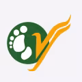 Air Togo logo