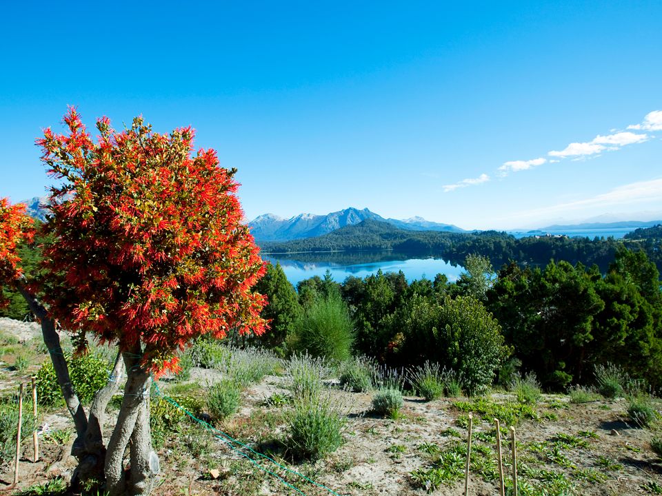 San Rafael city