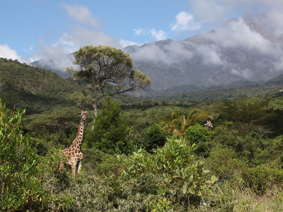 Arusha city