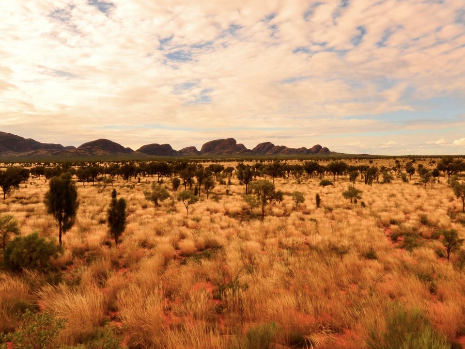 Uluru city