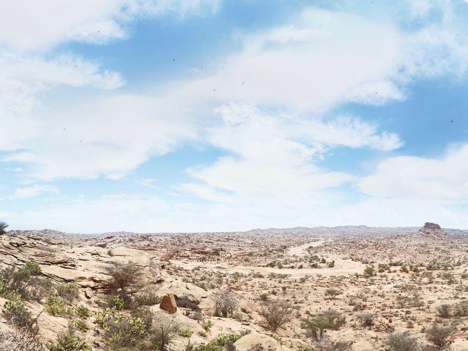 Berbera city