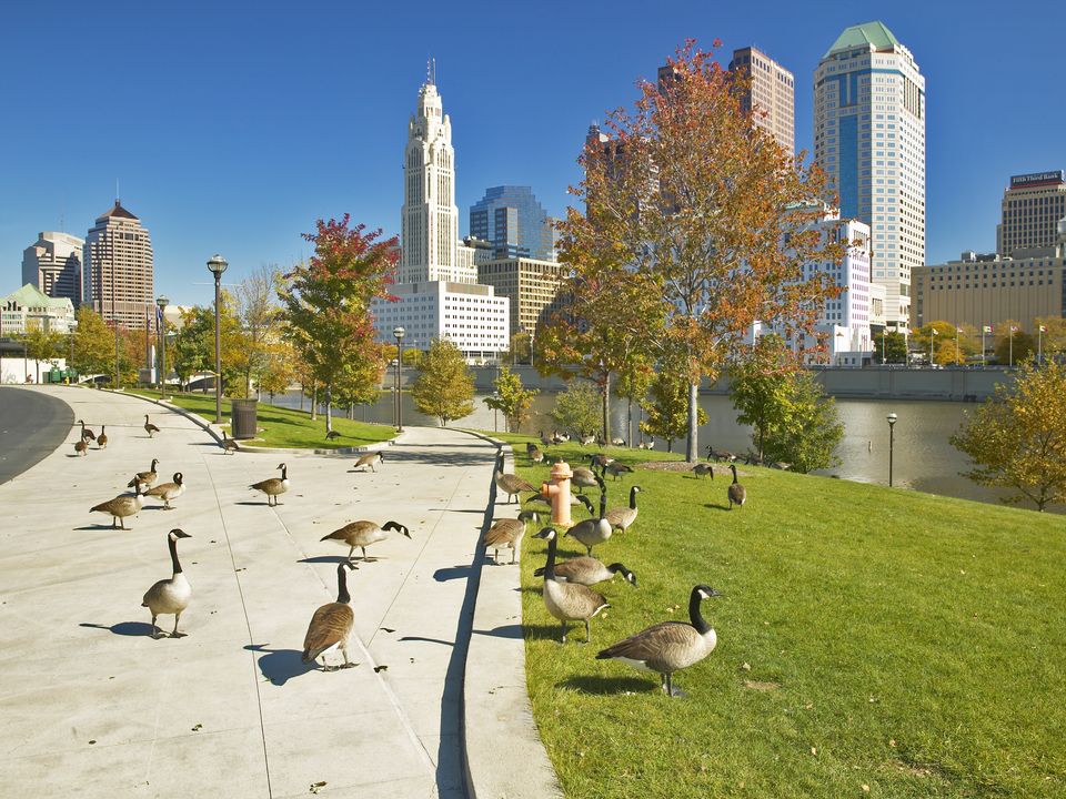 Columbus city