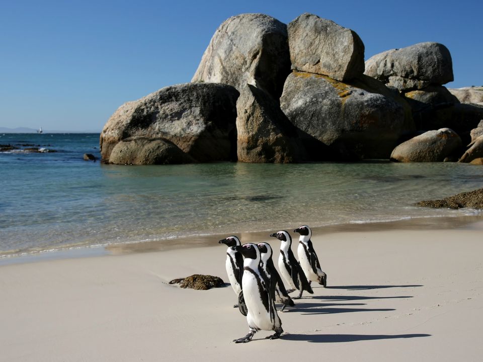 Cape Town city