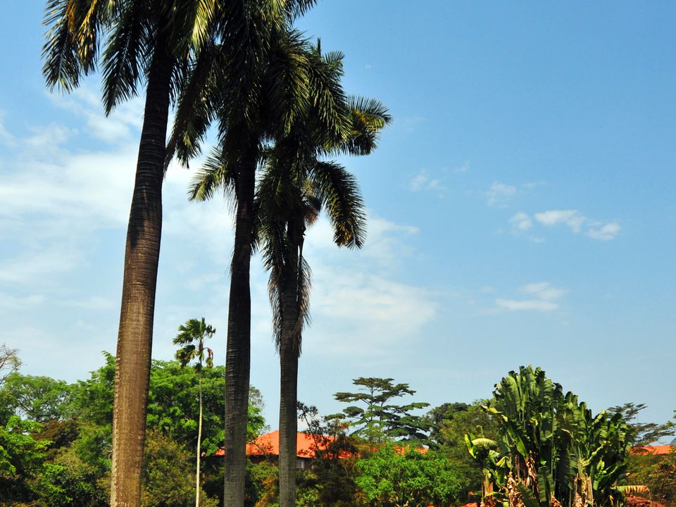 Entebbe city