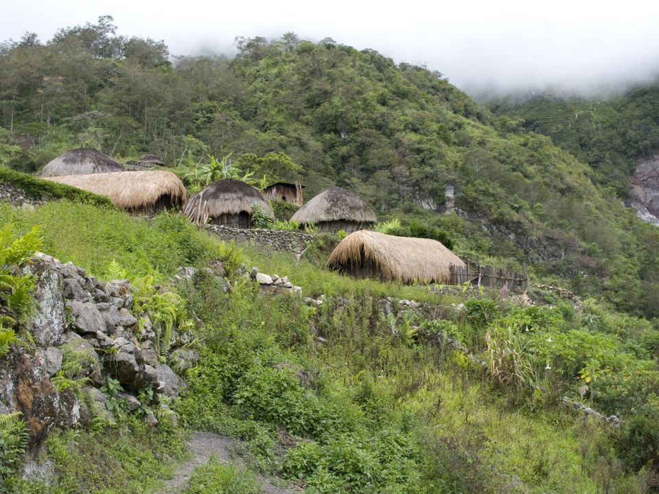 Goroka city