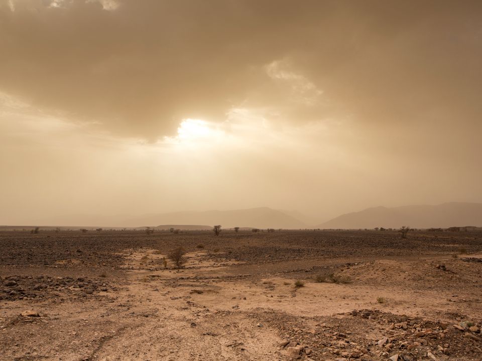 Hassi Messaoud city