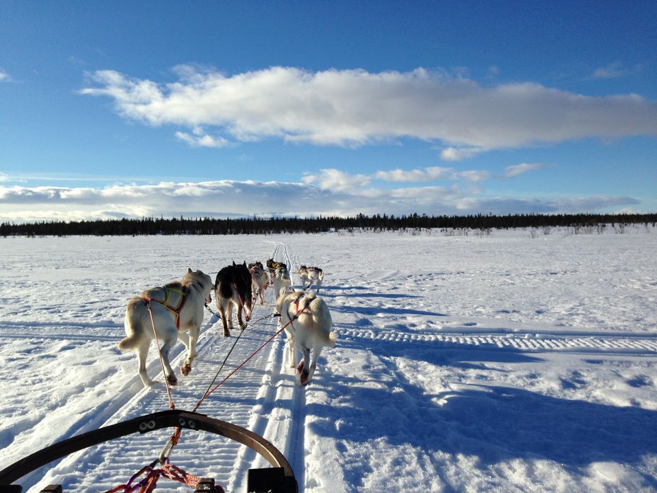Ivalo city