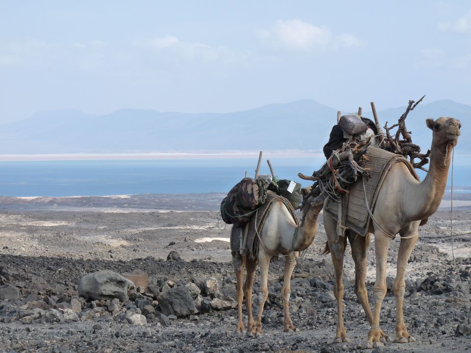 Djibouti city