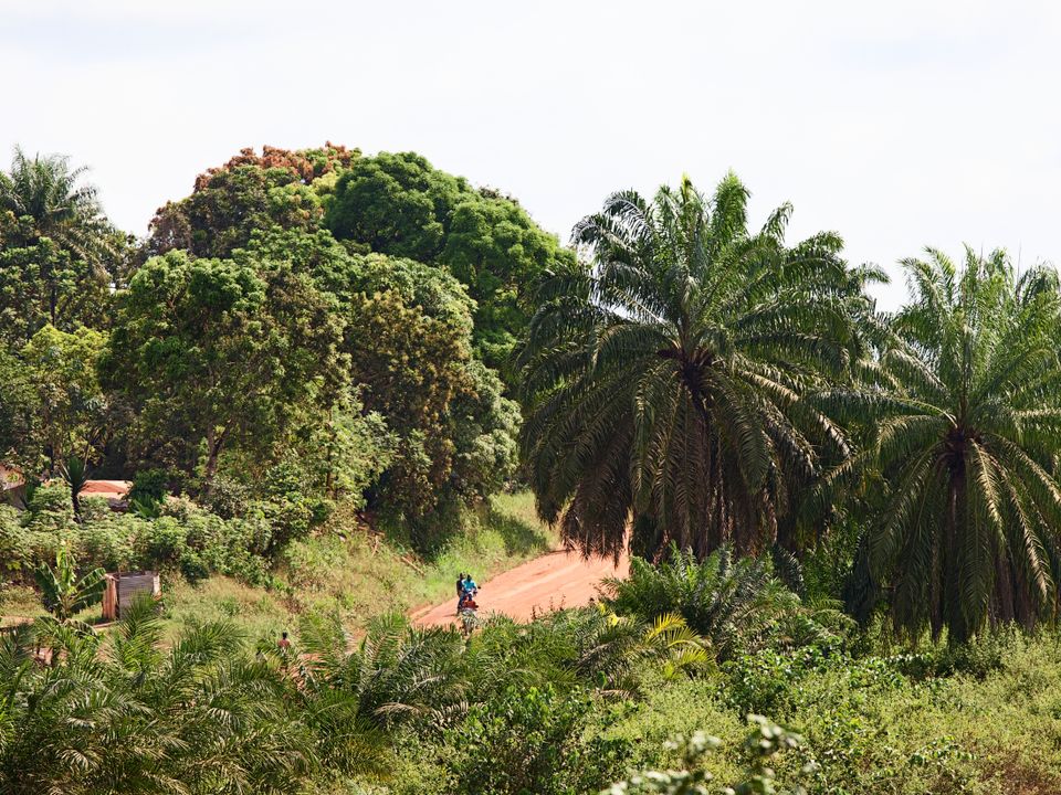 Monrovia city