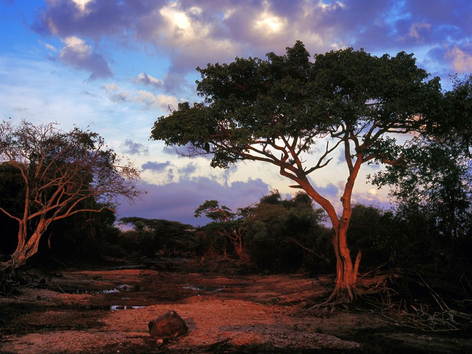 Mtwara city