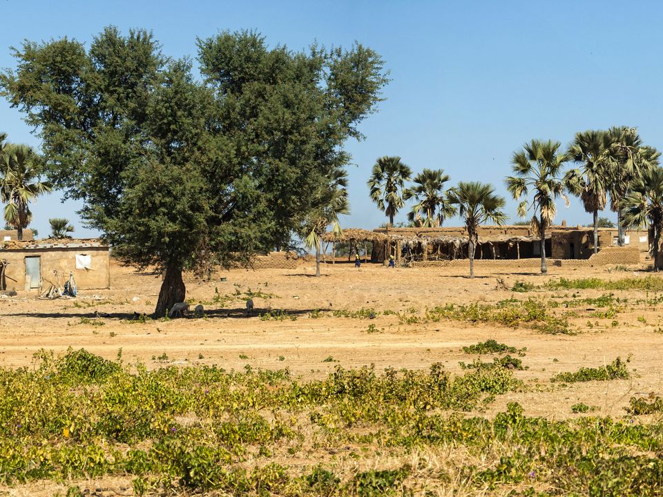 N'djamena city