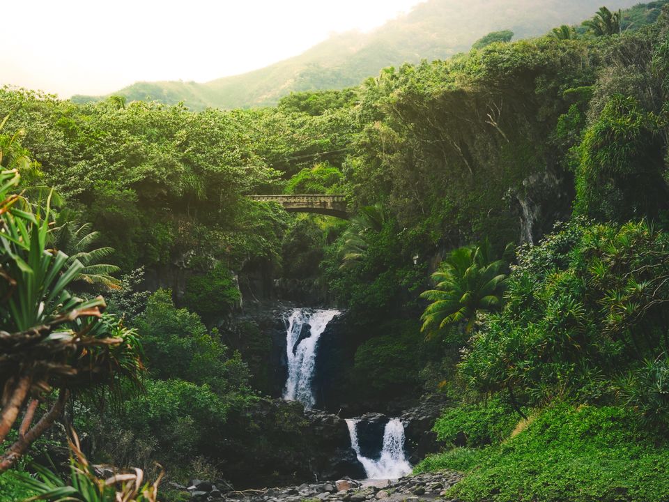 Kahului city