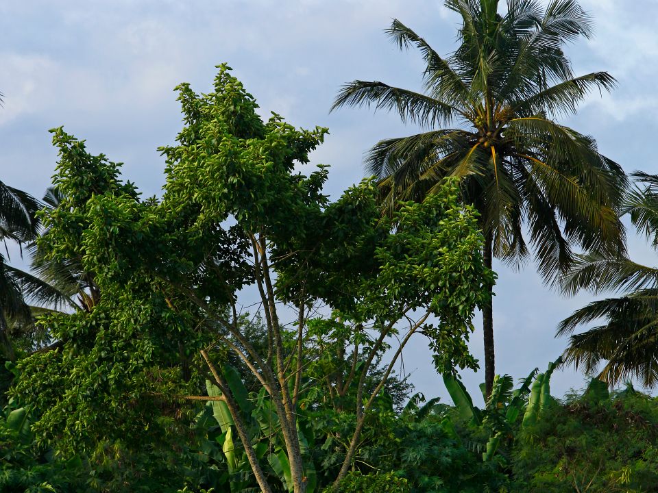 Bissau city
