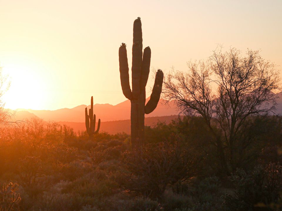 Phoenix city