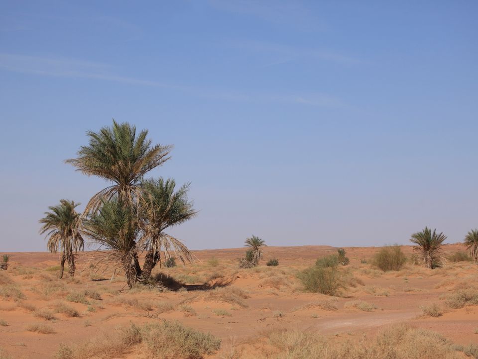 Sirt city