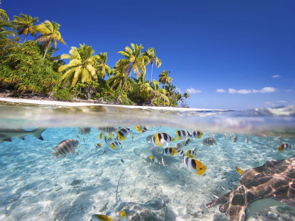 Tikehau city