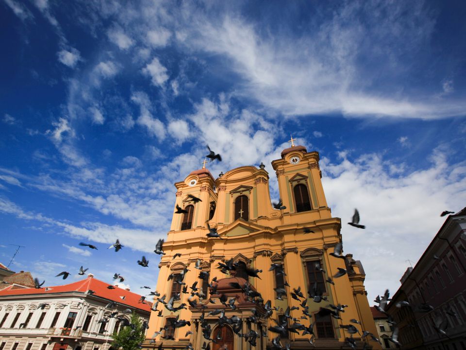 Timisoara city